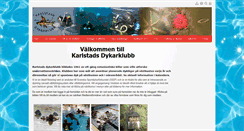 Desktop Screenshot of karlstadsdk.com